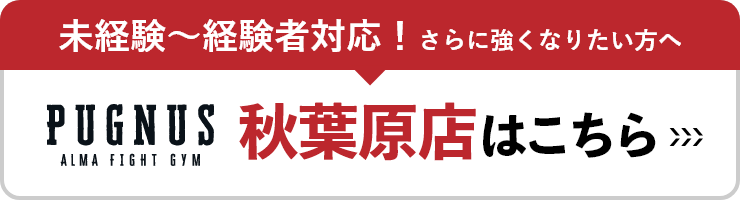未経験～経験者対応！さらに強くなりたい方へ PUGNUS秋葉原店はこちら